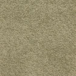 Masland  Knockout Carpet 9615 522