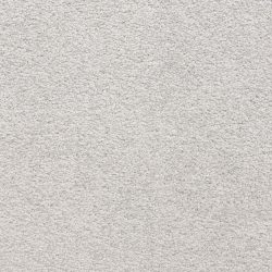 Masland  Knockout Carpet 9615 638