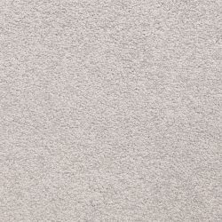 Masland  Knockout Carpet 9615 804