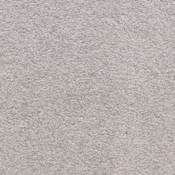 Masland  Knockout Carpet 9615 816