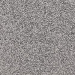 Masland  Knockout Carpet 9615 817