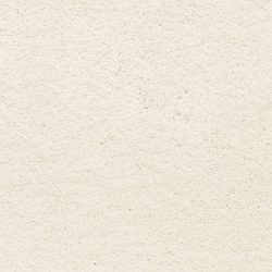 Masland  Ravishing Carpet 9625 021