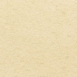 Masland  Ravishing Carpet 9625 103