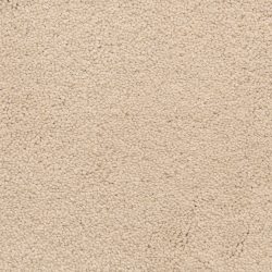 Masland  Ravishing Carpet 9625 118