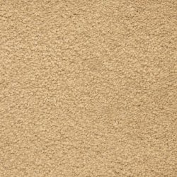 Masland  Ravishing Carpet 9625 209