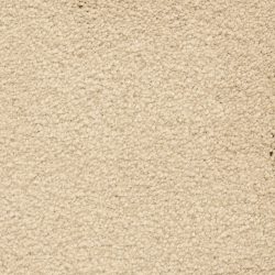 Masland  Ravishing Carpet 9625 213
