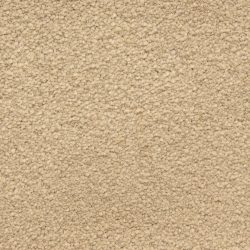 Masland  Ravishing Carpet 9625 214