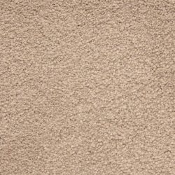 Masland  Ravishing Carpet 9625 219