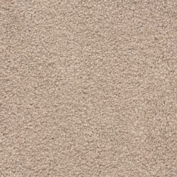 Masland  Ravishing Carpet 9625 224