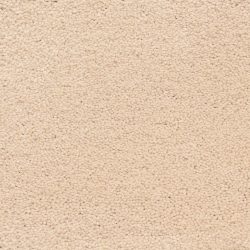 Masland  Ravishing Carpet 9625 246