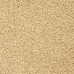 Masland  Ravishing Carpet 9625 305