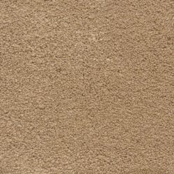 Masland  Ravishing Carpet 9625 310