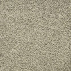 Masland  Ravishing Carpet 9625 533