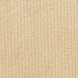 Masland  Trademark Carpet 9627 248