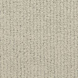 Masland  Trademark Carpet 9627 649