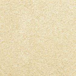 Masland  Delray Carpet 9628 111