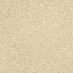 Masland  Delray Carpet 9628 123