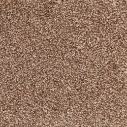Masland  Delray Carpet 9628 384