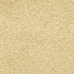 Masland  Delray Carpet 9628 444