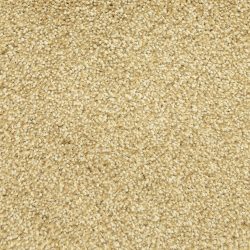 Masland  Delray Carpet 9628 463