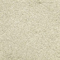 Masland  Delray Carpet 9628 528