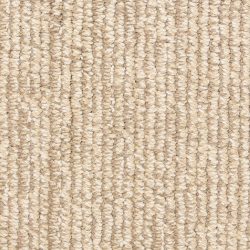 Masland  Signature Carpet 9629 342