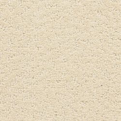 Dixie Home Carpet Prize Winner D006 13111