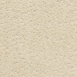 Dixie Home Carpet Prize Winner D006 13112