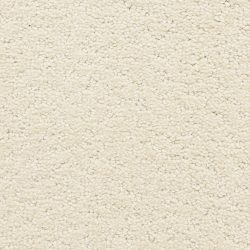 Dixie Home Carpet Prize Winner D006 13124