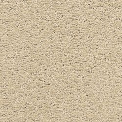 Dixie Home Carpet Prize Winner D006 23114