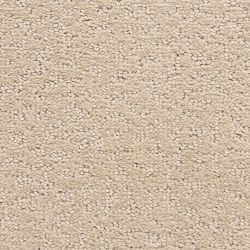 Dixie Home Carpet Prize Winner D006 23115