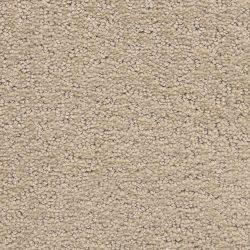 Dixie Home Carpet Prize Winner D006 33121