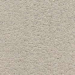 Dixie Home Carpet Prize Winner D006 83119