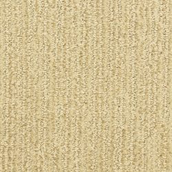Dixie Home Carpet Smash Hit D008 23114
