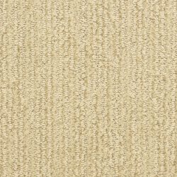 Dixie Home Carpet Smash Hit D008 23117
