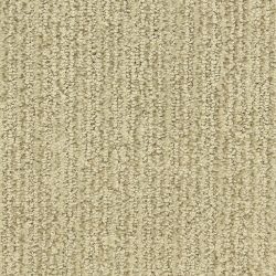 Dixie Home Carpet Smash Hit D008 33118