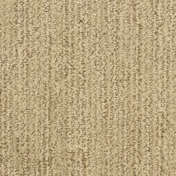Dixie Home Carpet Smash Hit D008 33121