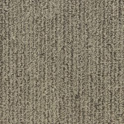 Dixie Home Carpet Smash Hit D008 33125