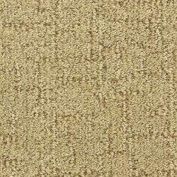 Dixie Home Carpet Victor D009 33121