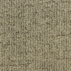 Dixie Home Carpet Victor D009 33125