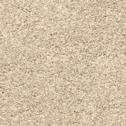 Dixie Home Carpet Marinette D012 20108
