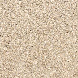 Dixie Home Carpet Marinette D012 21112
