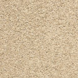Dixie Home Carpet Marinette D012 22105