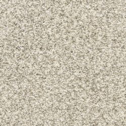 Dixie Home Carpet Marinette D012 81116