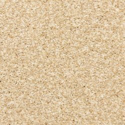 Dixie Home Carpet Rochelle D013 11100
