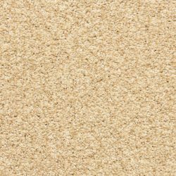 Dixie Home Carpet Rochelle D013 12101