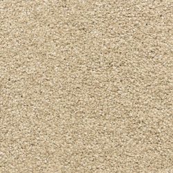 Dixie Home Carpet Rochelle D013 24109