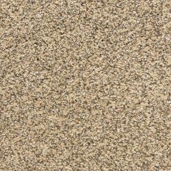 Dixie Home Carpet Rochelle D013 32106