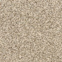 Dixie Home Carpet Rochelle D013 32113