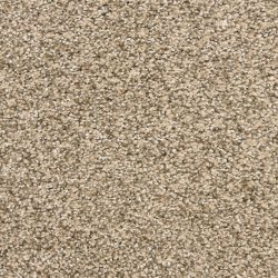 Dixie Home Carpet Rochelle D013 34110